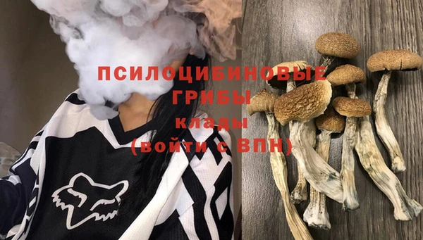 дмт Беломорск