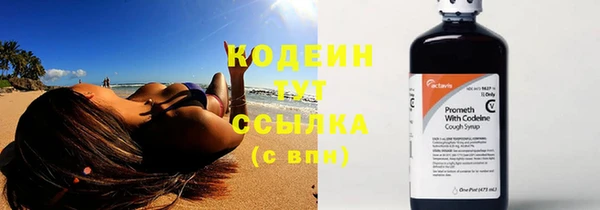 крисы Богородицк