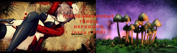 mdma Белокуриха